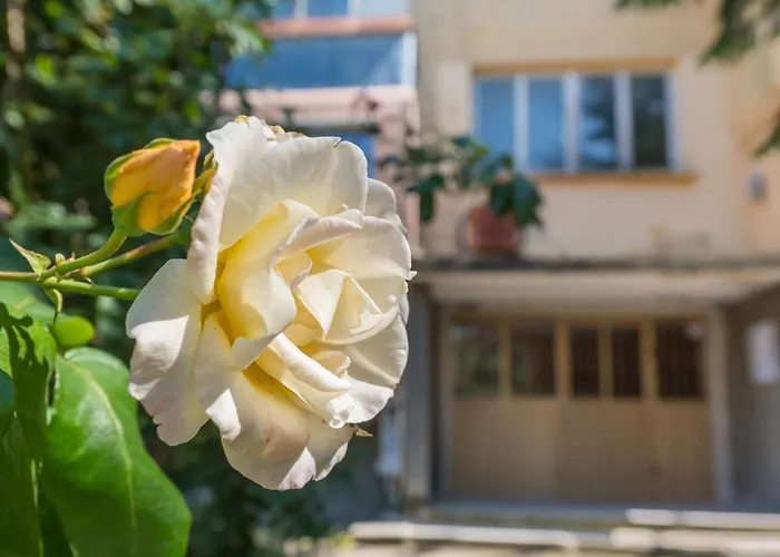 Private Apartment In Chayka Near The Sea Garden